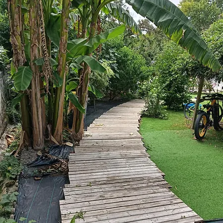 Petite Maison Dans Centre *